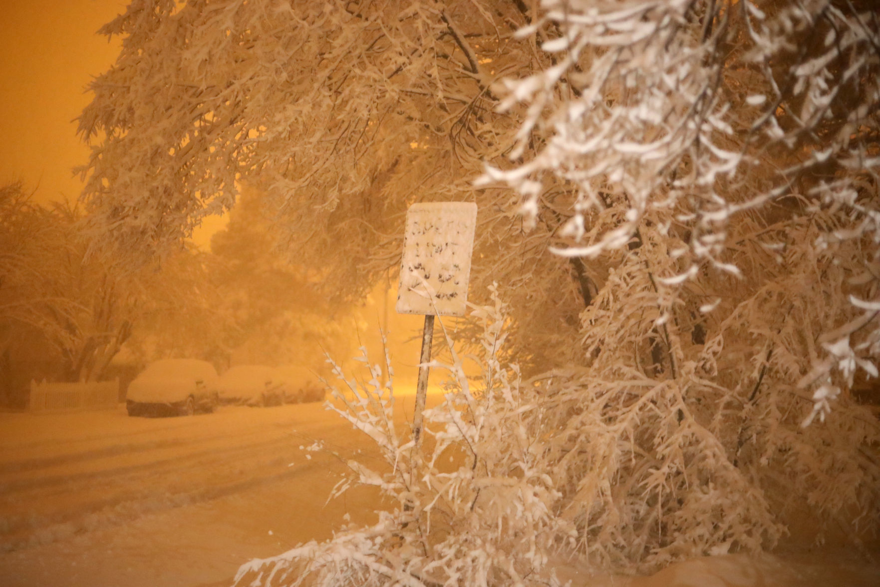 Black Friday snow